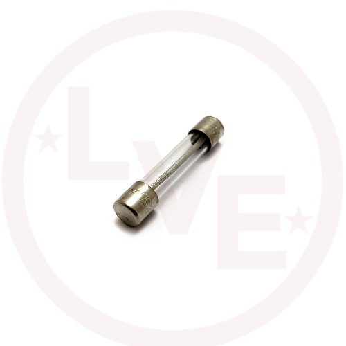 FUSE 1A 250V TIME DELAY GLASS 6.4X31.8MM BULK